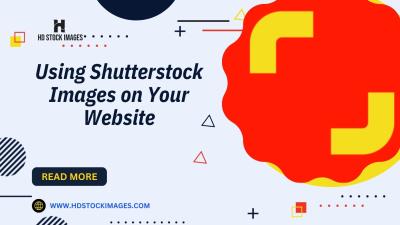 How Do Free Royalty Images Work on Shutterstock?