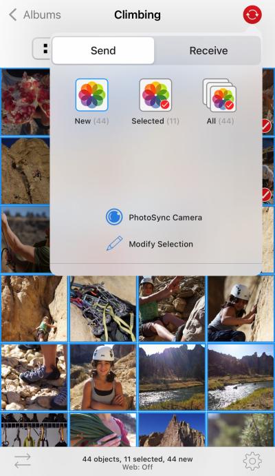 How to Delete Uploaded Photos from Shutterstock Easily?