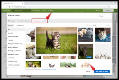 How to Buy 1 Image from Shutterstock Without a Plan?