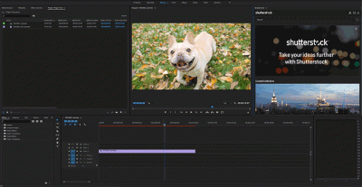 How to Use Shutterstock with Adobe Premiere