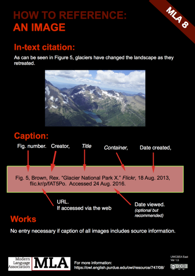 How to Cite Shutterstock Images in MLA Format