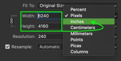 How to Change the Dimensions of a Shutterstock Photo?