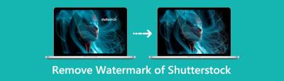 How to Download Shutterstock Images Without Watermarks