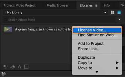 How to Access Your Shutterstock Footage After Purchase