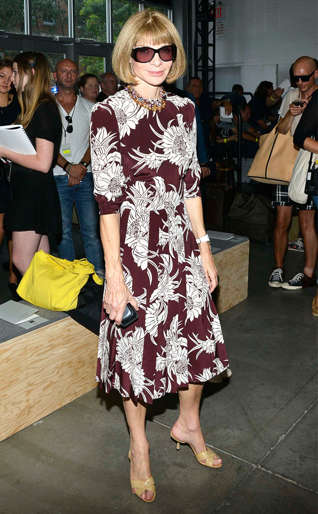 Anna Wintour Loves Wearing Plant Life Sticks With One Type of Print on 