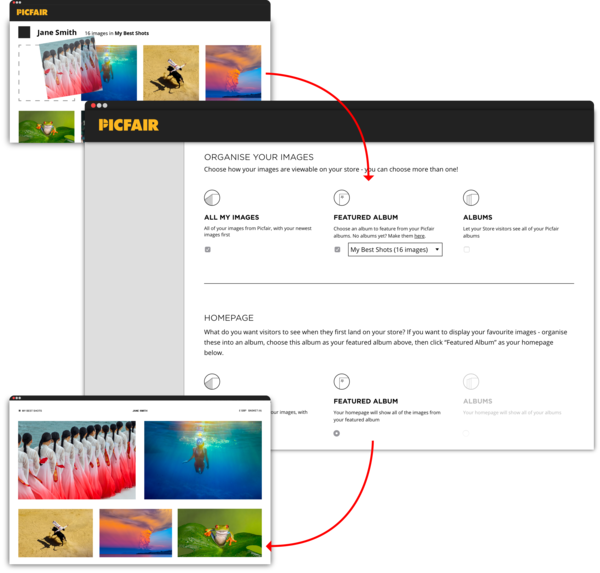 Picfair Careers How to Work with Picfair and Earn from Your Photos