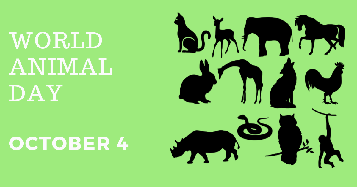 World Animal Day October 4 Images HD Pictures UHD Photographs 4K 
