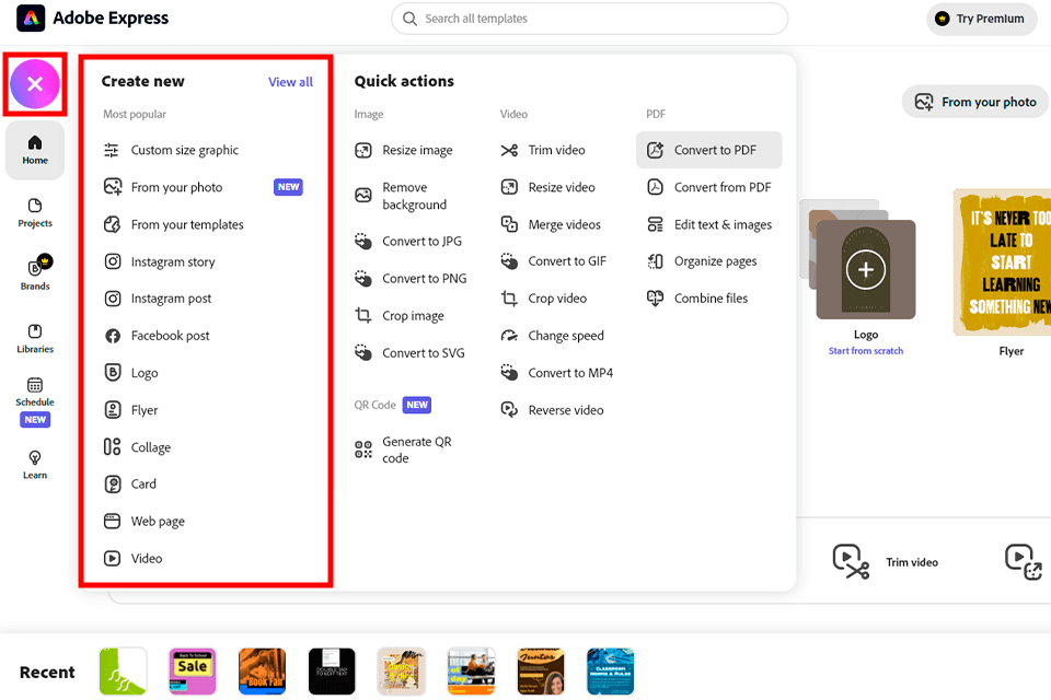 How to Undo and Redo in Adobe Express in 5 steps