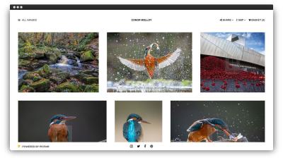 Picfair Careers How to Work with Picfair and Earn from Your Photos