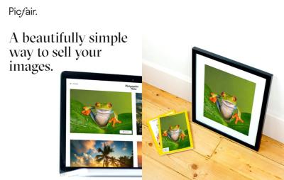 Understanding the Photo Selling Process on Picfair