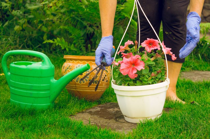 Understanding Getty Images Licensing for Lifestyle Content