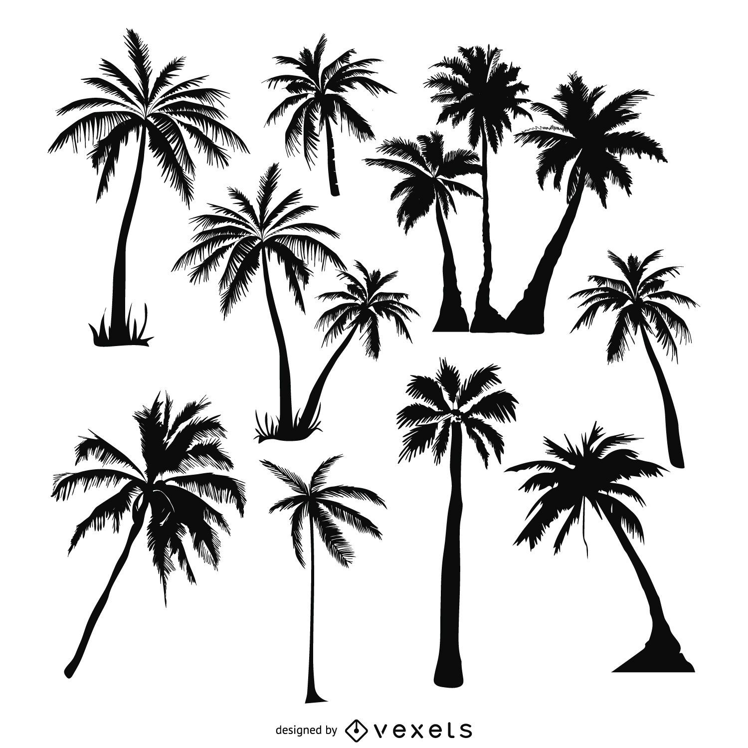 Conjunto De Silhuetas De rvores De Palma Baixar Vector