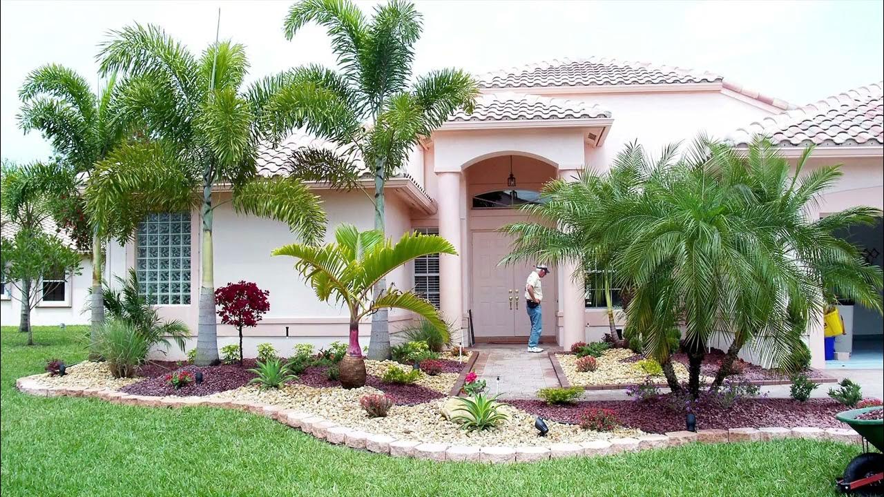 Front Garden ideas with palm trees YouTube