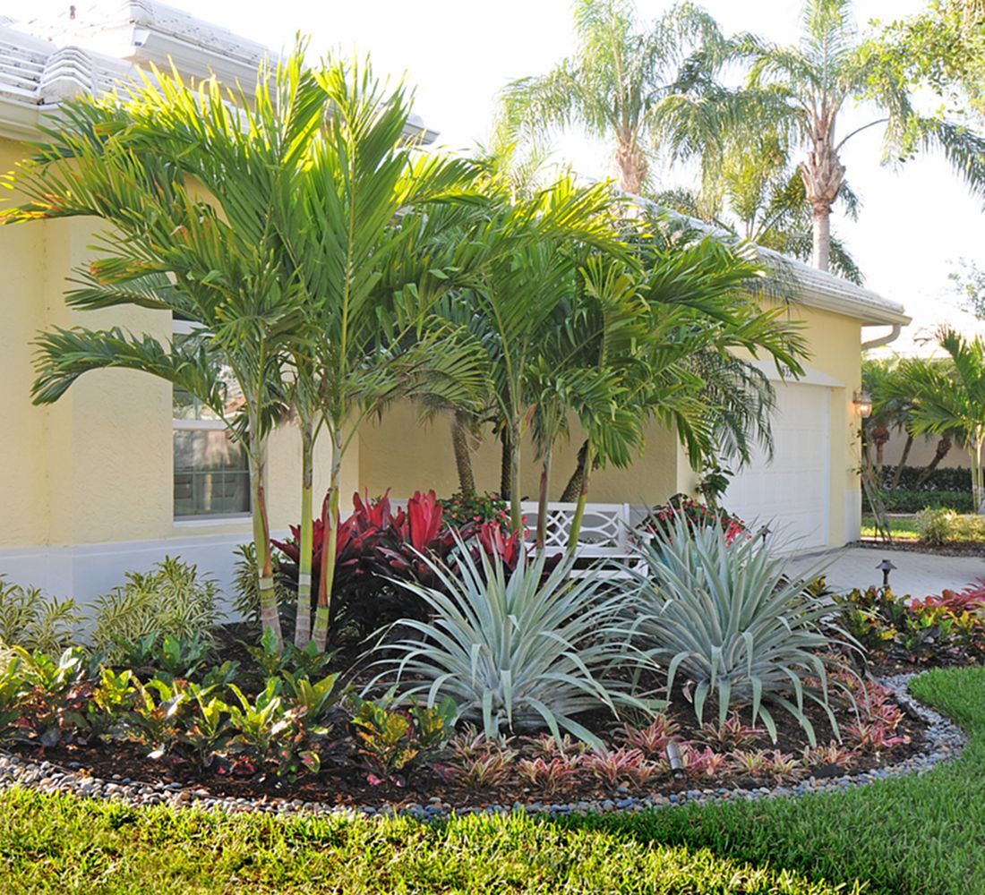 The Symbolism of Palm Trees in Californias Landscape