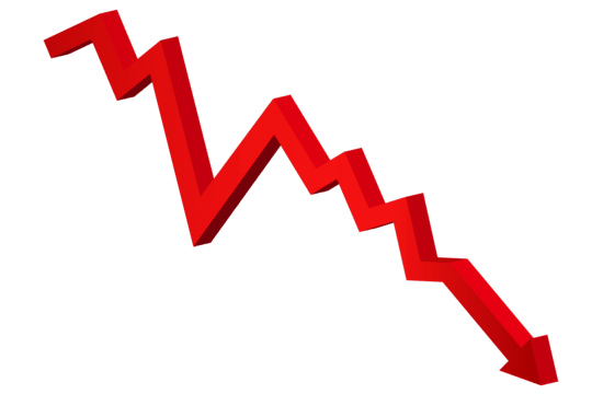 The Role of Vector Stocks in the Global Economy