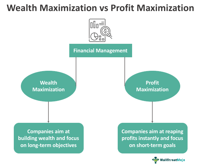 Wealth Maximization vs Profit Maximization What is It Infographic