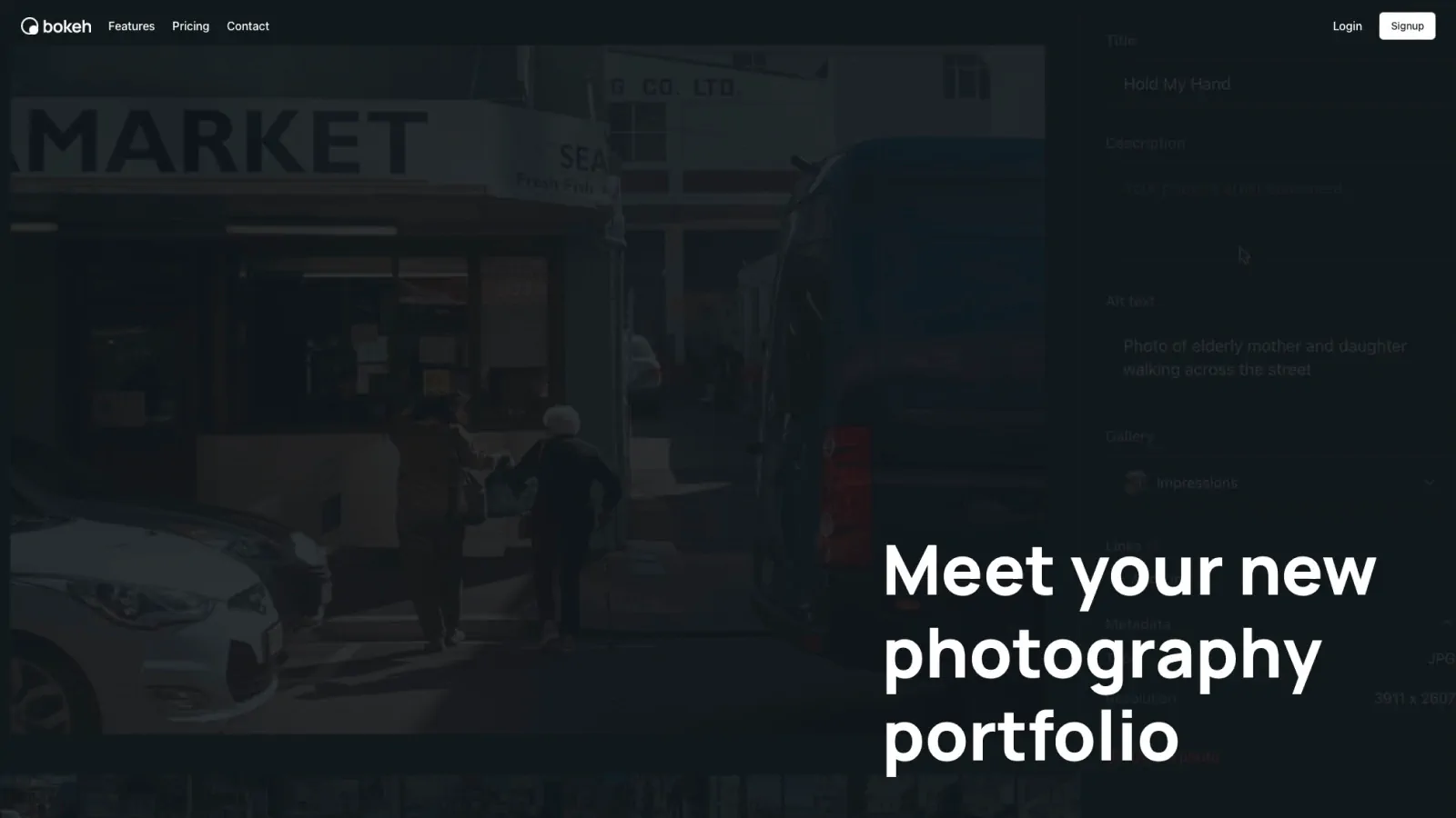 Best Blogging Platforms for Photographers 2024 BloggingPlatformsapp