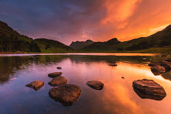 Unlocking the Power of eStockPhoto Search Features for Perfect Images