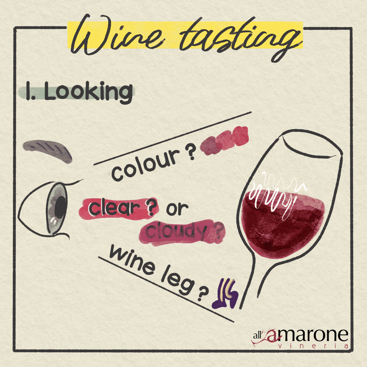 Wine Tasting all you need to know about In short In depth