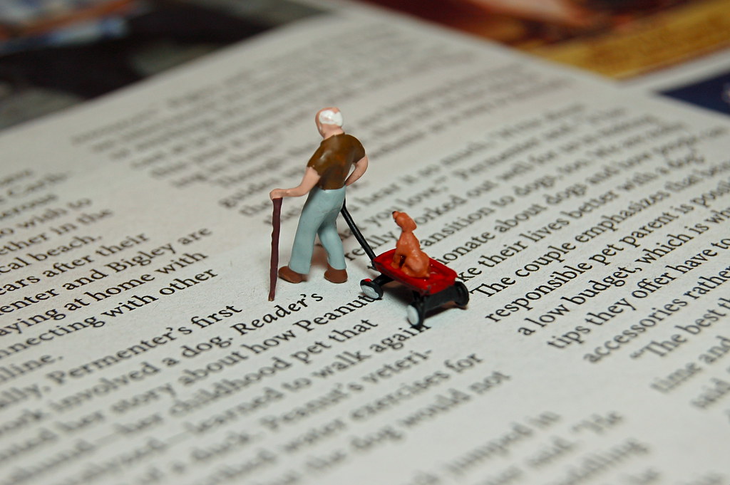 The Role of Getty Images in Documenting Live Events