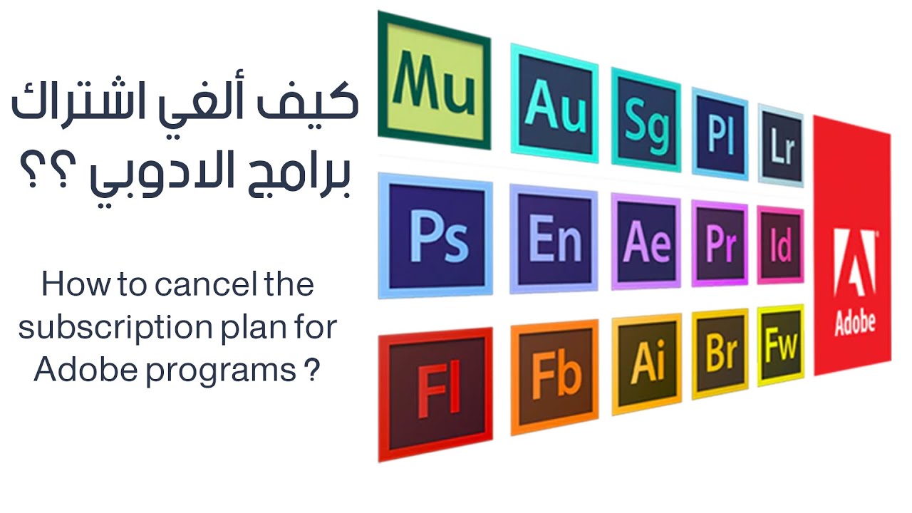 Understanding Adobe Stocks Subscription Plans