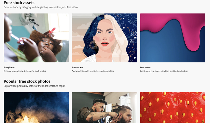 Understanding Adobe Stock Contributor Program for Vectors