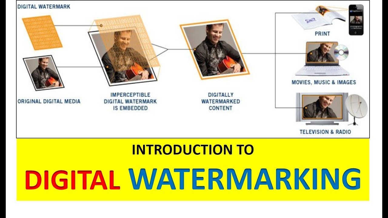  1 Introduction 
