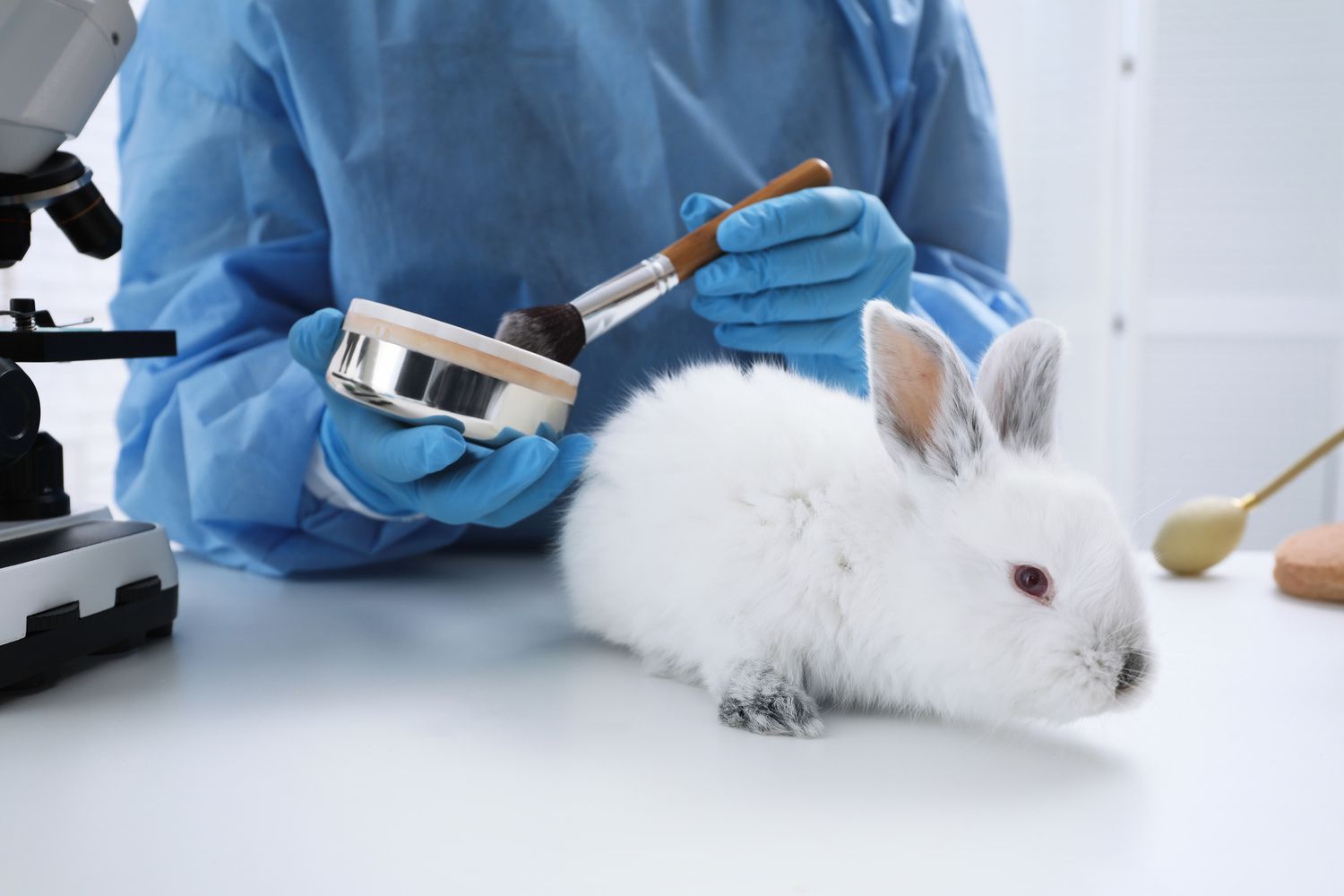 Everything You Need to Know About Animal Testing for Cosmetics