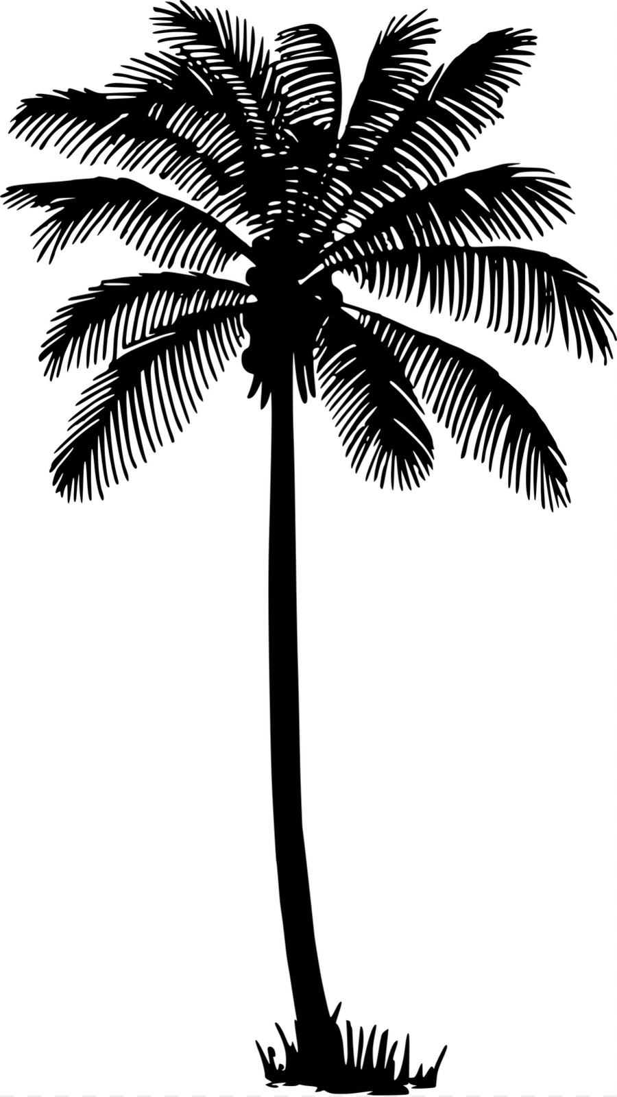 Free Silhouette Of Palm Tree Download Free Silhouette Of Palm Tree png 