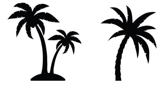 How to Create Custom California Palm Tree Vectors in Illustrator