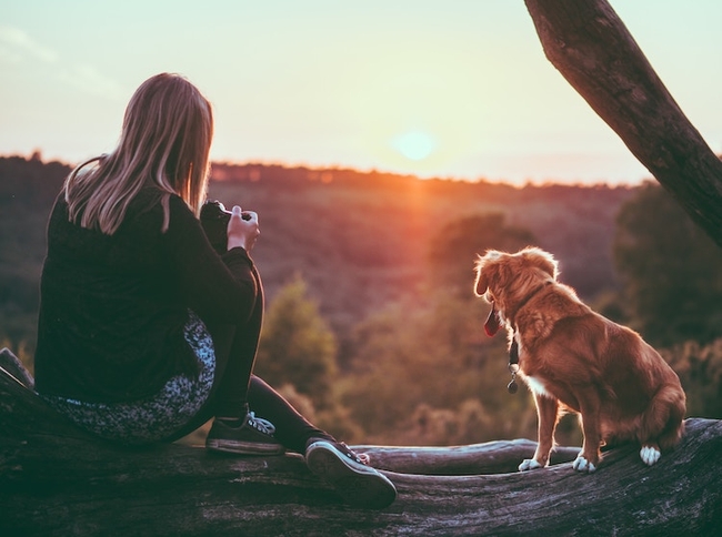 EyeEm Careers Opportunities for Photographers and Content Creators