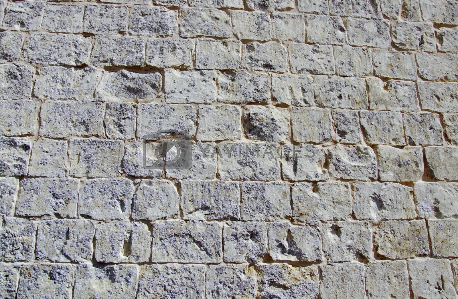 Medieval Wall by PhotoWorks Vectors Illustrations Free download 