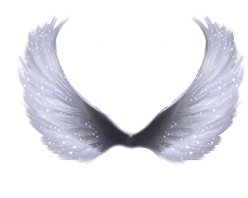 Discover a Variety of PNG Files on PNGWing for Your Website