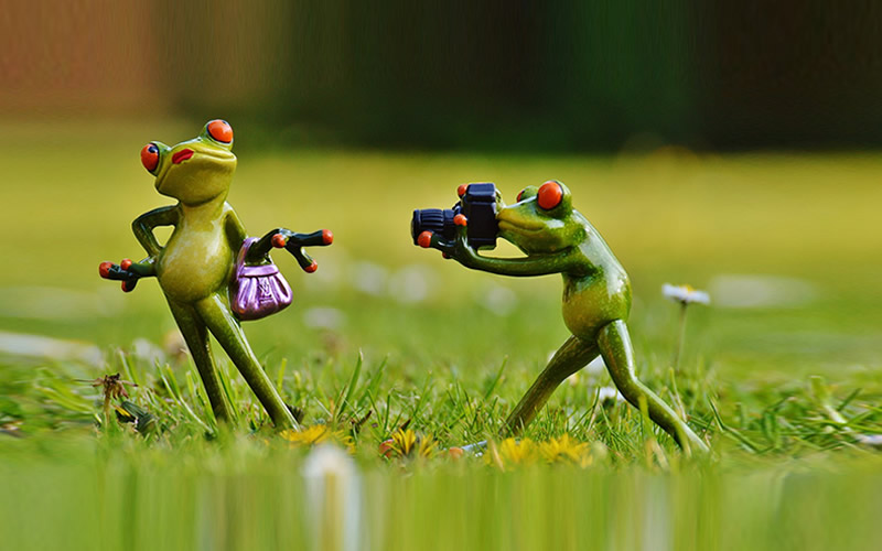 Best Websites For RoyaltyFree Stock Photos Bloggers Can Use