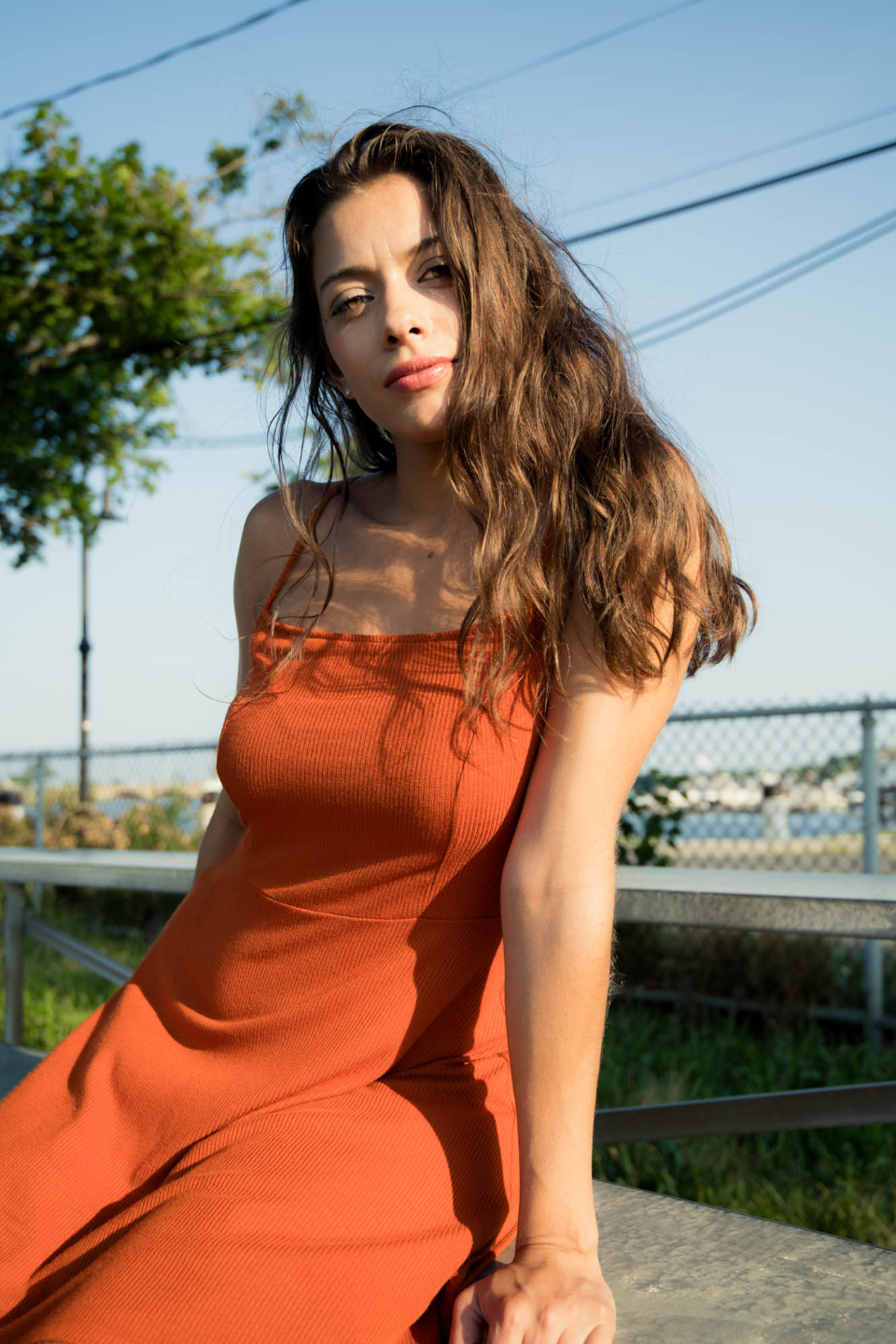 How to Get Beautiful Stock Photos from StockSnapio for Free