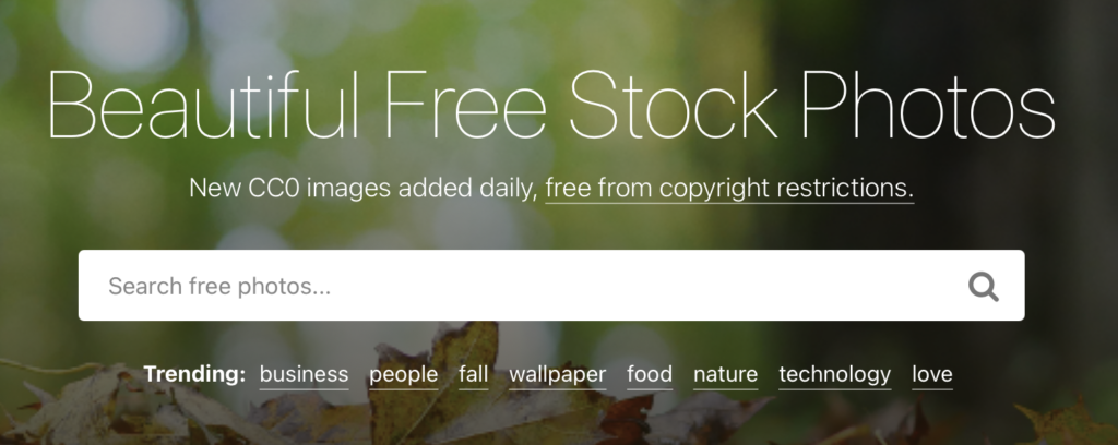 How to Use StockSnapio for Free Business Stock Photography