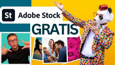 How to Use iStock's Media Manager for Asset Organization
