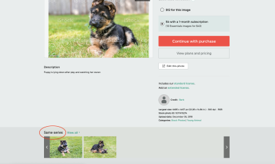 Picfair vs Shutterstock Which is Better for Selling Photos