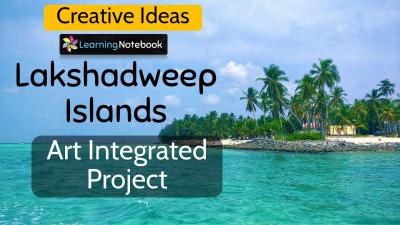 How to Use Behance for Showcasing Your Creative Work