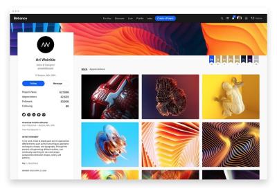 How to Download Videos from Behance Without Restrictions