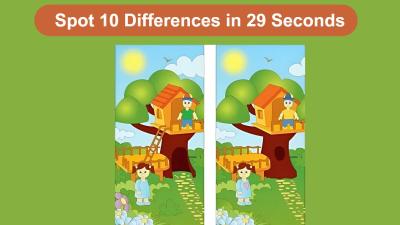 Understanding the Quality Differences Between PNGWing Free and Premium Images