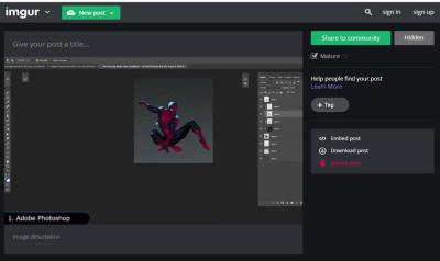 How to Embed Imgur Images on Websites and Blogs