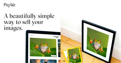 How to Make Your Photos Sell on Picfair for Success