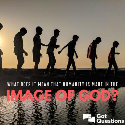 What Makes IMAGO Images a Trusted Partner for Creative Professionals