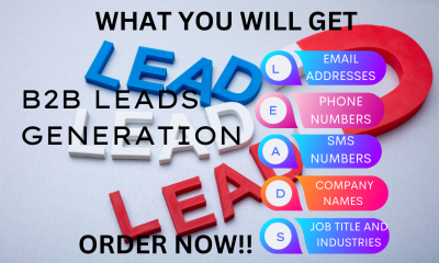 I will do B2B leads generation, email list, email leads to any industry