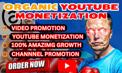 I will do perfect organic youtube automation video, channel promotion for monetization