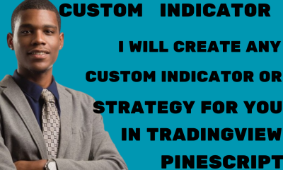 I will create any custom indicator or strategy in TradingView Pine Script