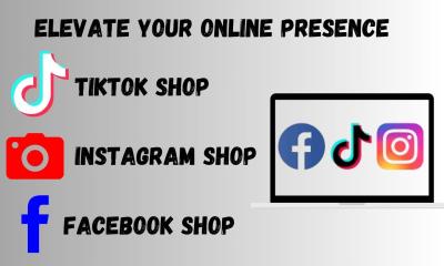 I will setup Facebook Instagram TikTok shops manage Shopify shop