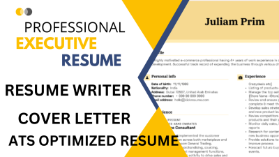 I Will Write Executive, Director, VP, SVP, USAJobs Resume Writing Service, Cover Letter