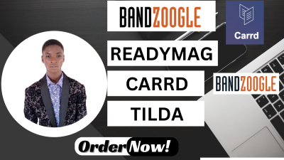 I will design a turnkey website on tilda, readymag, carrd website, bandzoogle